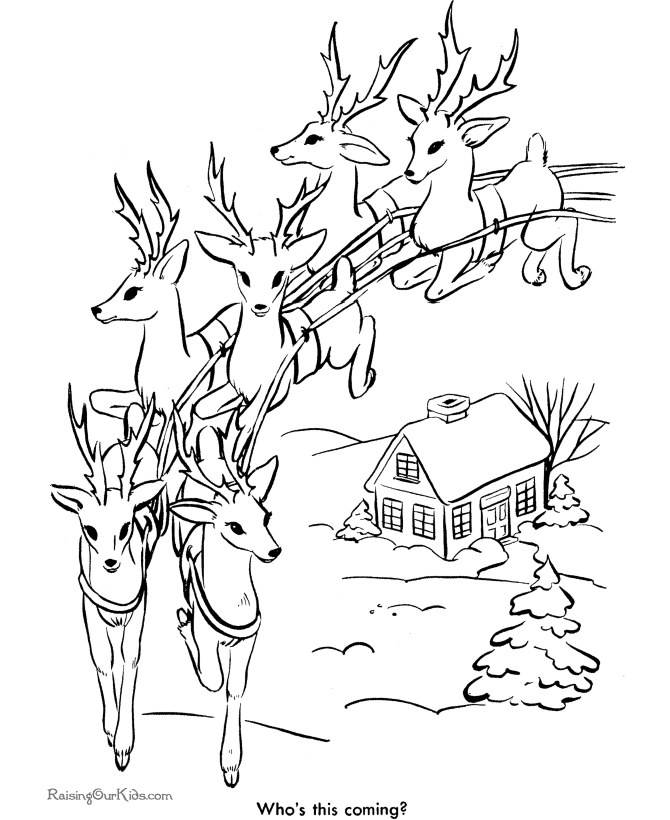 Santa's Reindeer on Christmas Eve!